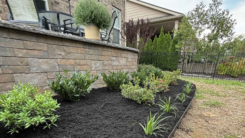Landscape Design & Installation