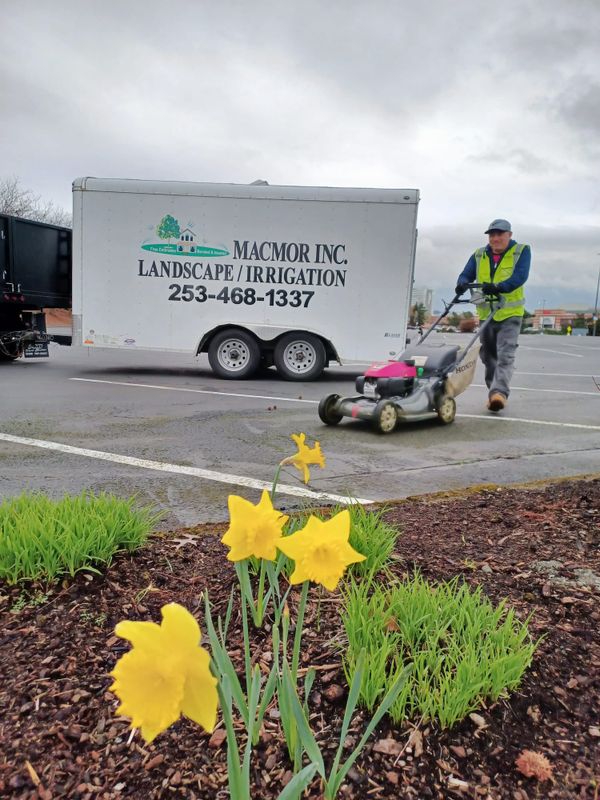 Landscaping