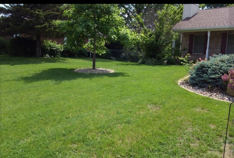 Lawn Care