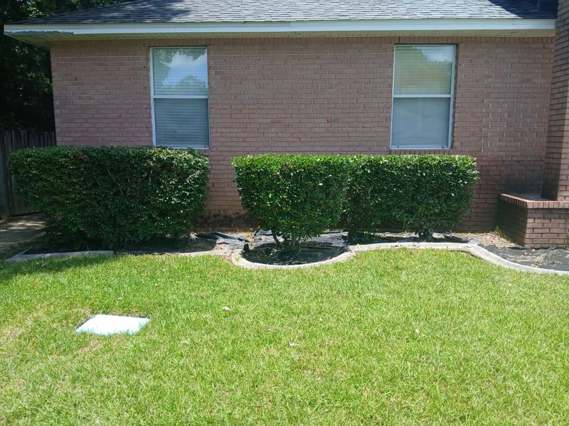 Lawn Maintenance