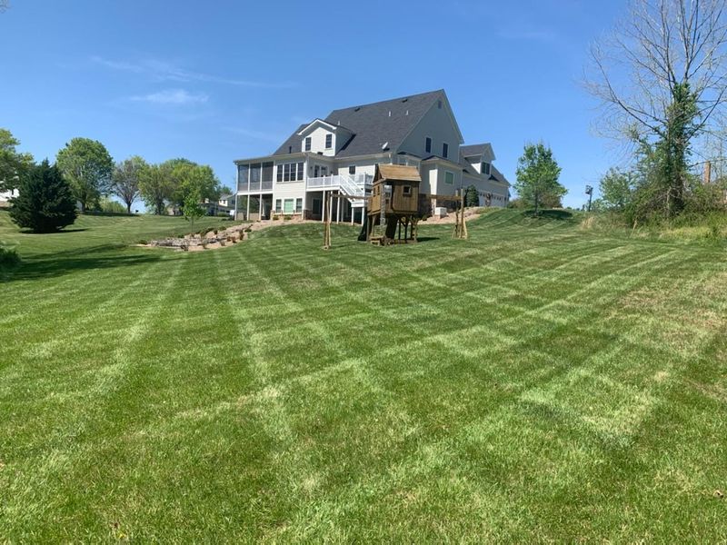 Lawn Services