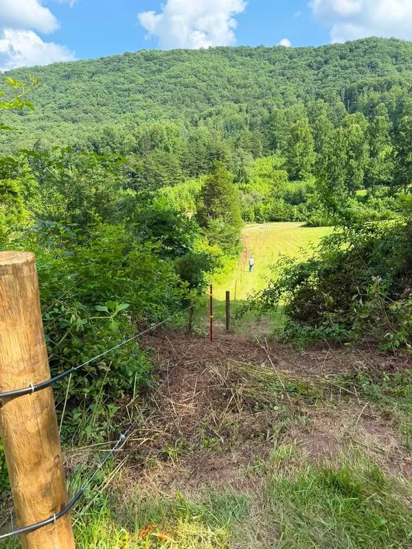 Fencing