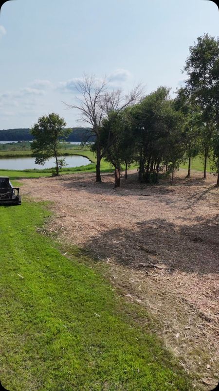 Tree Removal