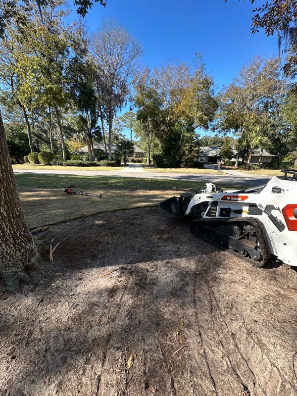 Sod Installation 