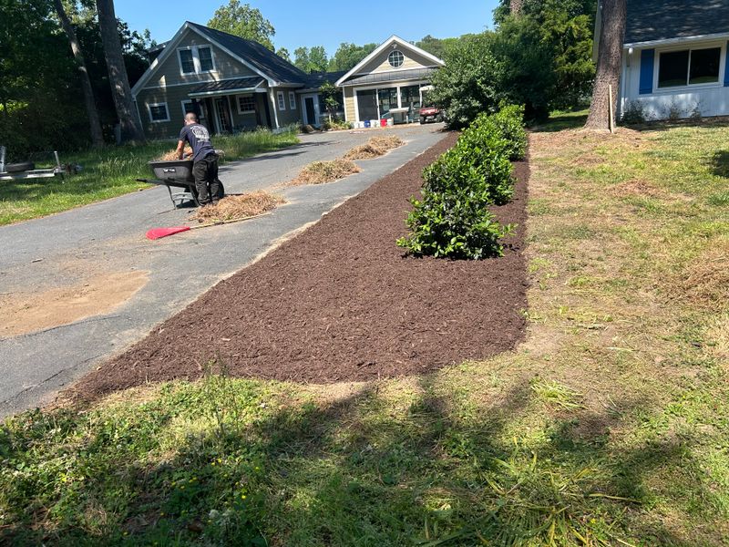 Shrub and Plant Trimming