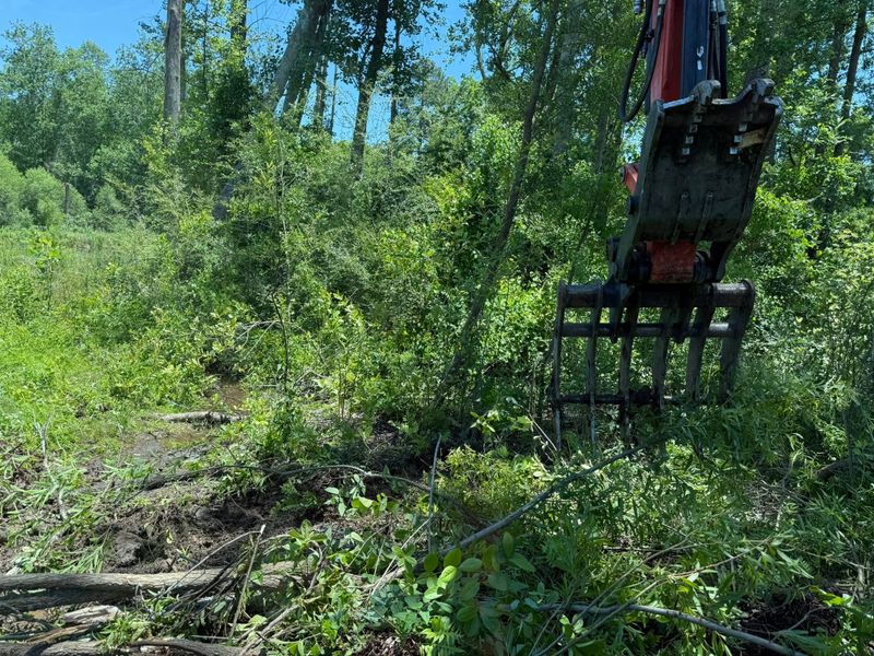 Land Clearing