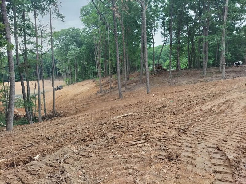 Wide cleared area in the woods with dozer track marks across bare dirt