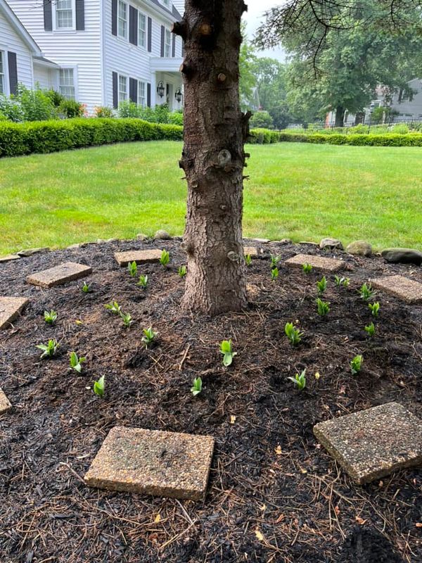 Landscaping