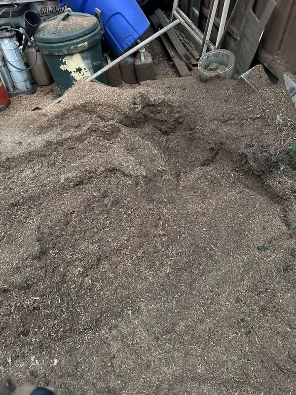 Fall Clean Up