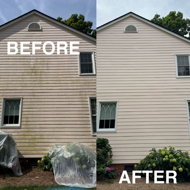 Home Soft Washing
