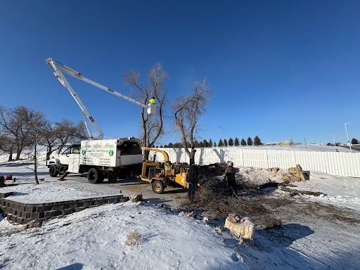 Tree Trimming