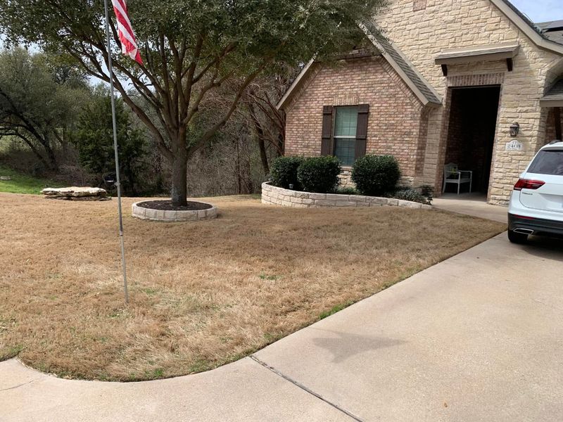Lawn Care