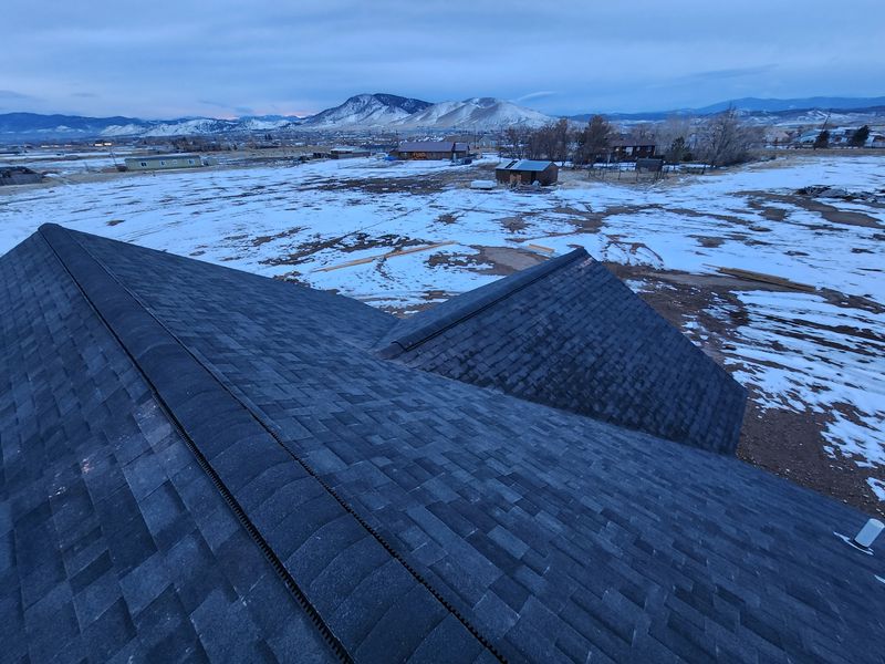 Shingle and Metal Roofs