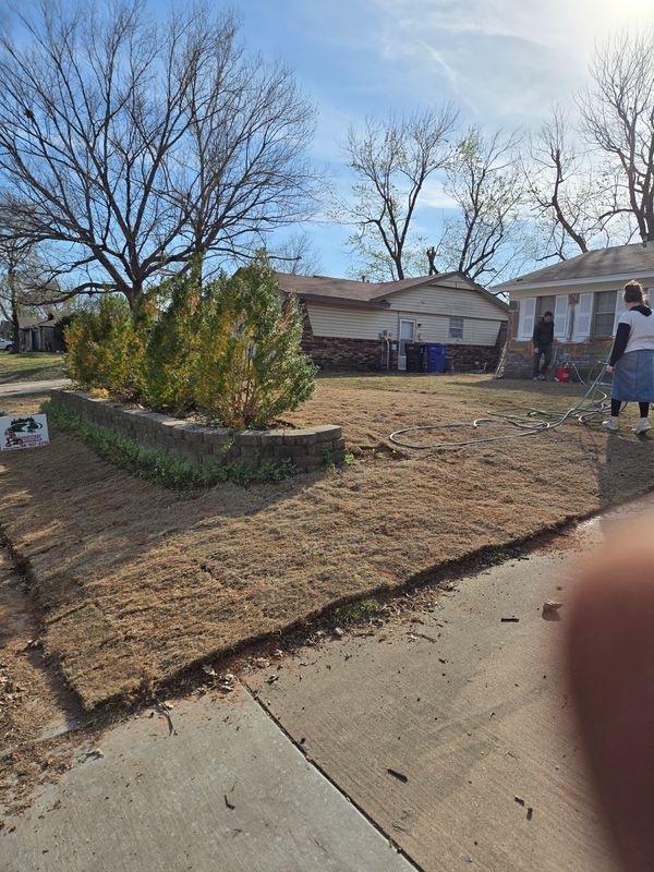 Lawn Maintenance