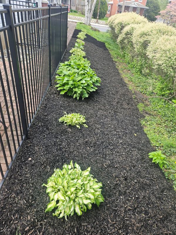 Landscape Design