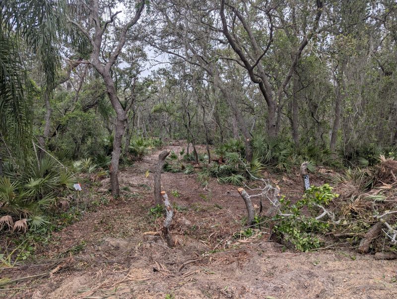 Debris Removal