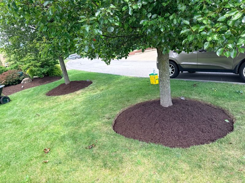 Landscaping