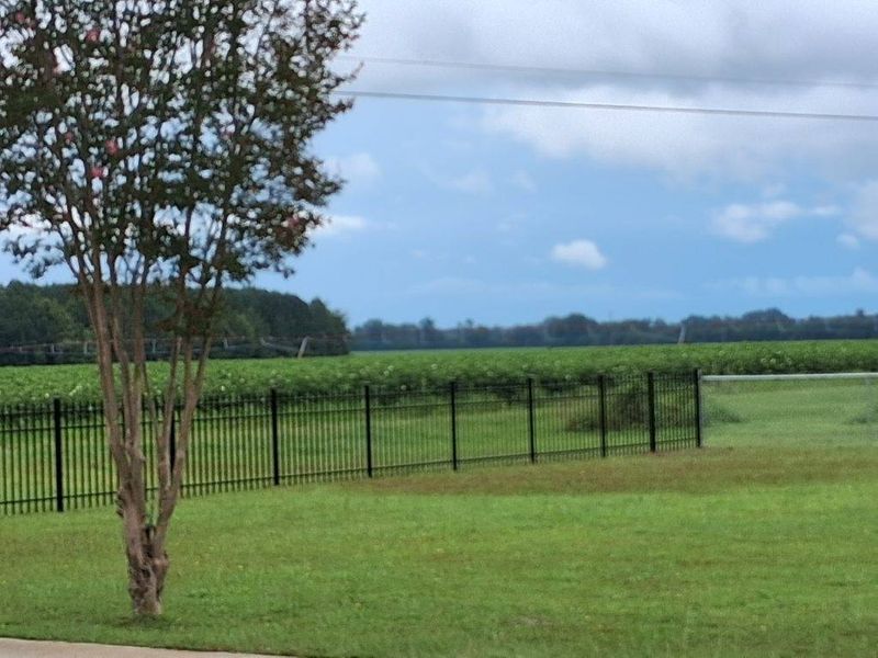 Fence Installation