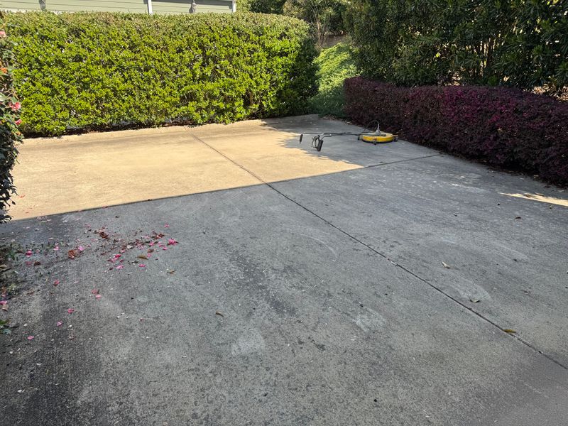 Driveway Cleaning