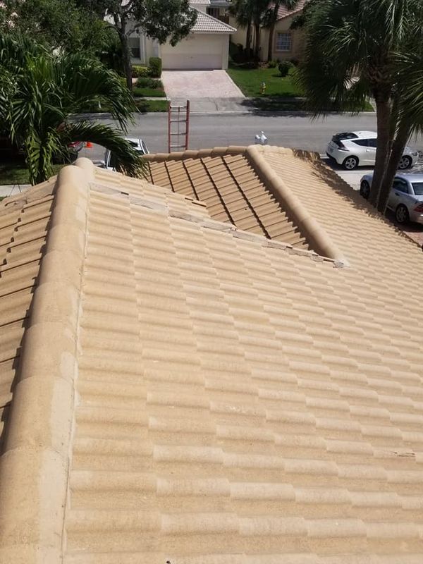 Roof Cleaning