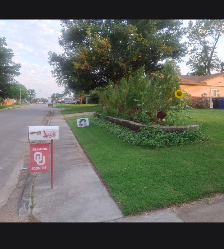 Lawn Maintenance