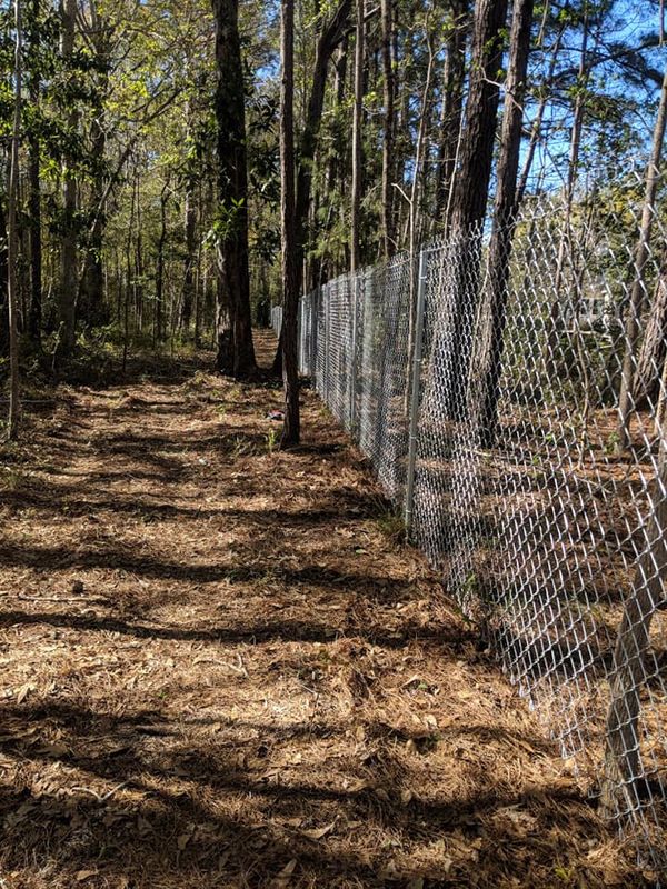 Fencing