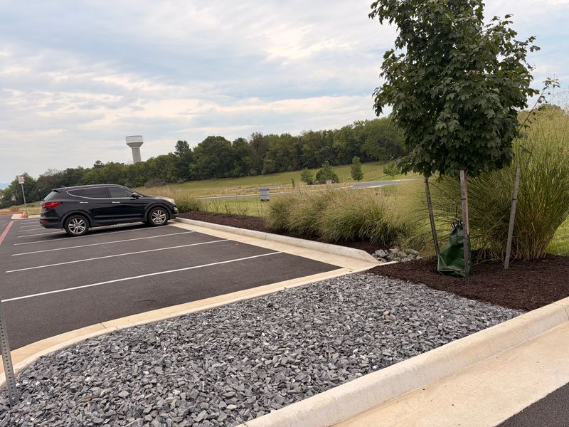 Mulch Installation