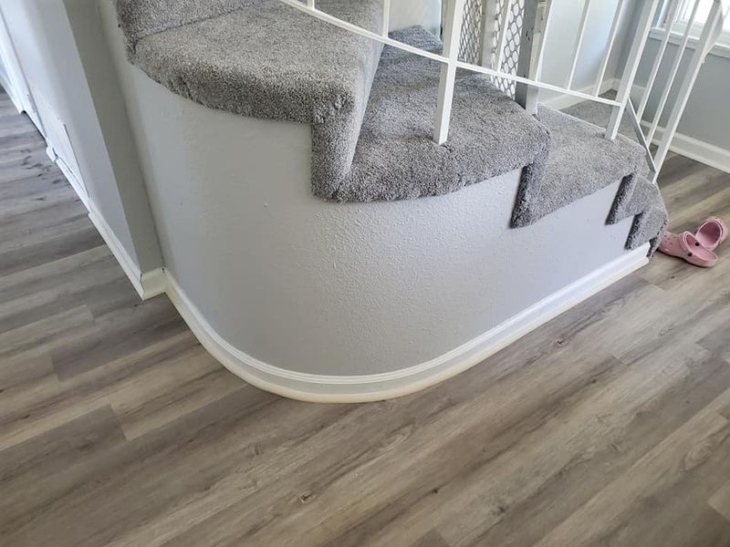 Carpet