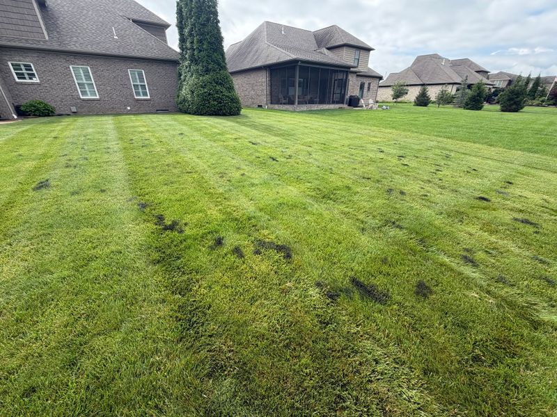 Seasonal Lawn Care