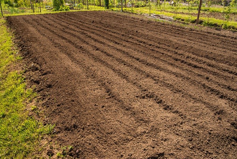 Large Garden Tilling