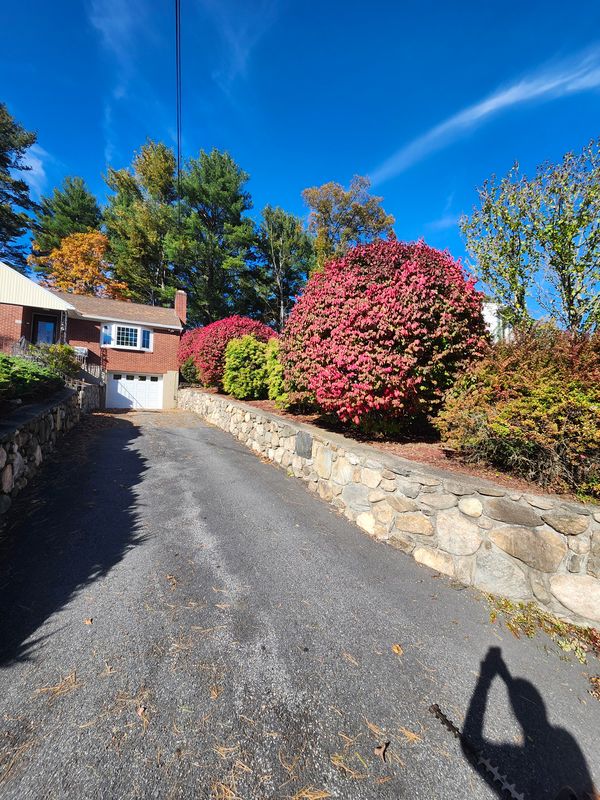 Fall Cleanups