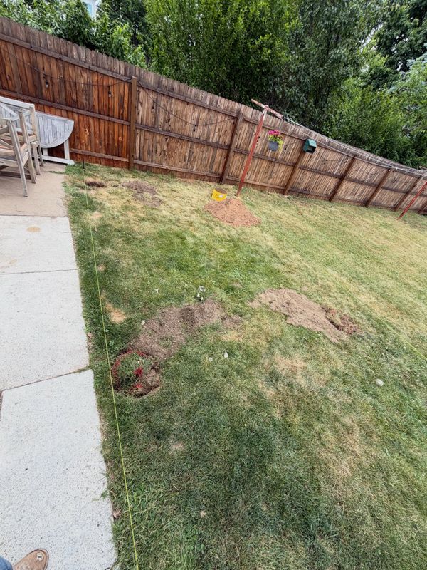 Landscaping