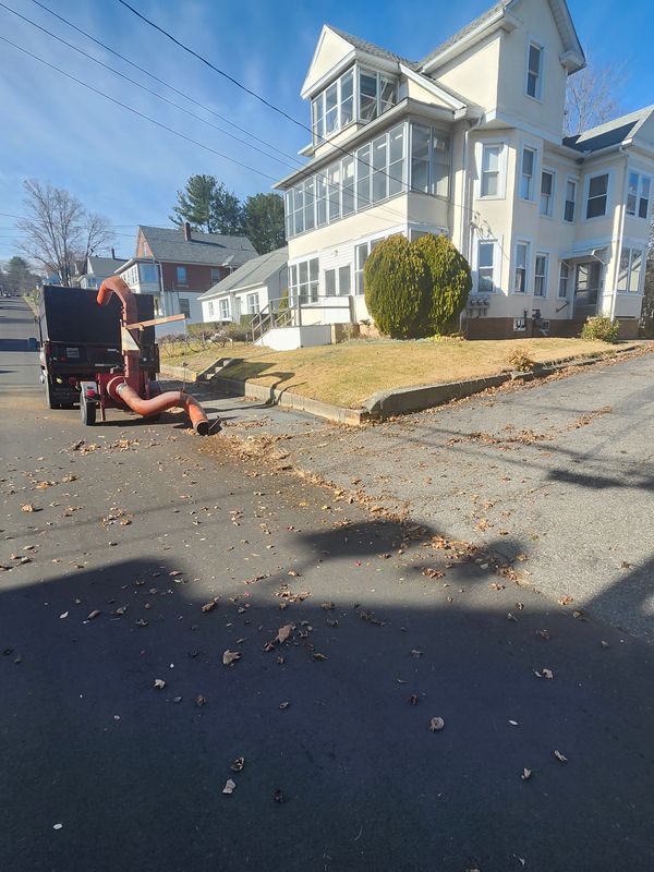 Fall Cleanups