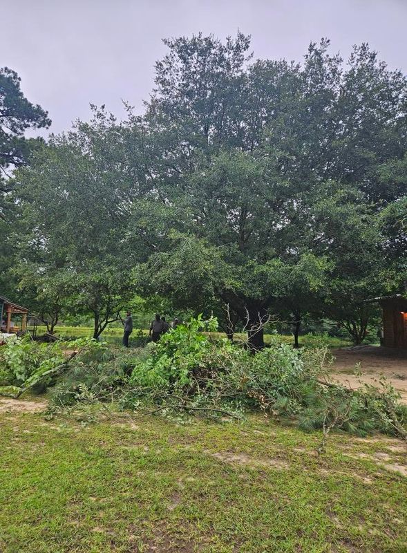 Landscaping