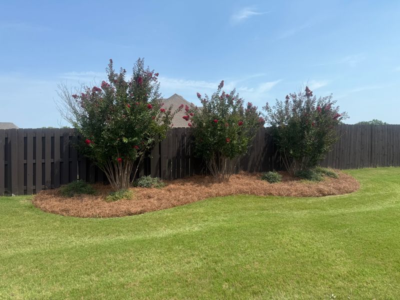 Garden Designs