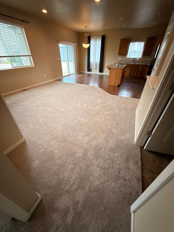 Carpet Installation and Repair