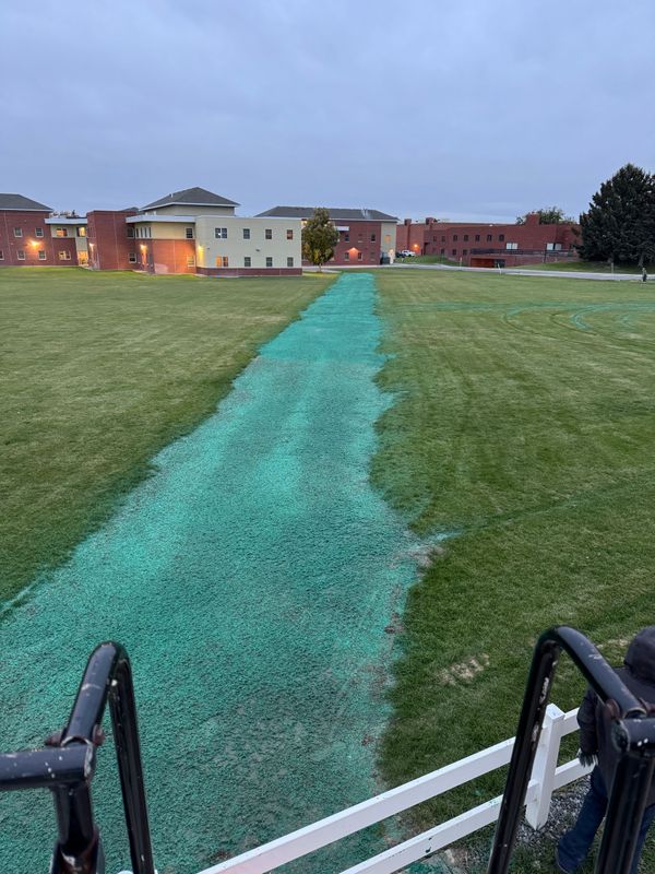 Residential and Commercial Hydroseeding