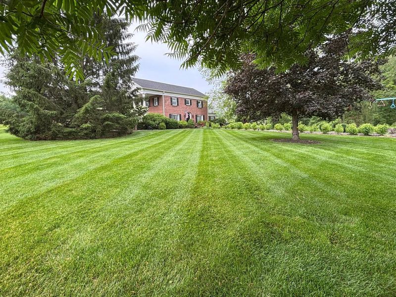 Lawn Maintenance