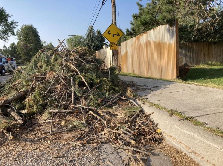 Junk Removal