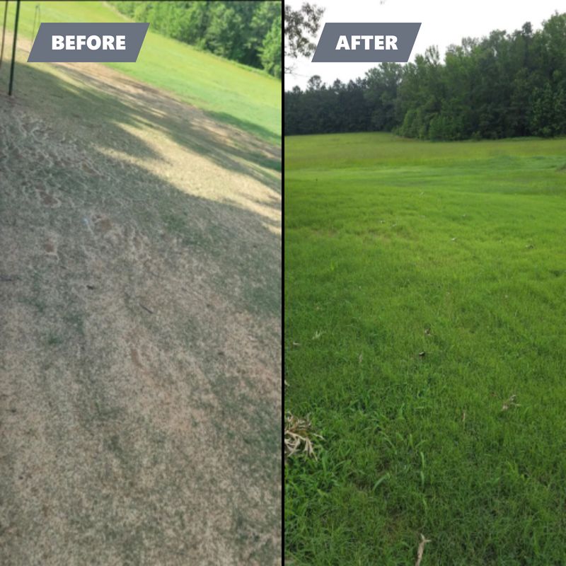 Hydroseeding gallery