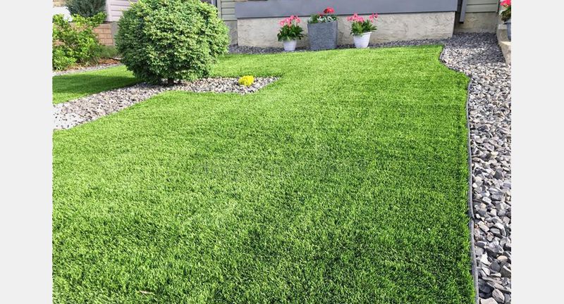 Landscape Design & Installation