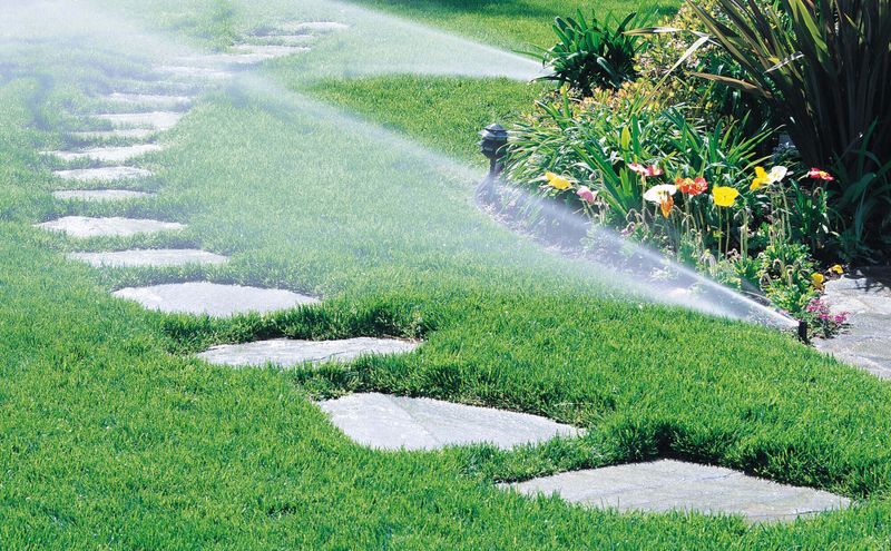 Lawn Maintenance