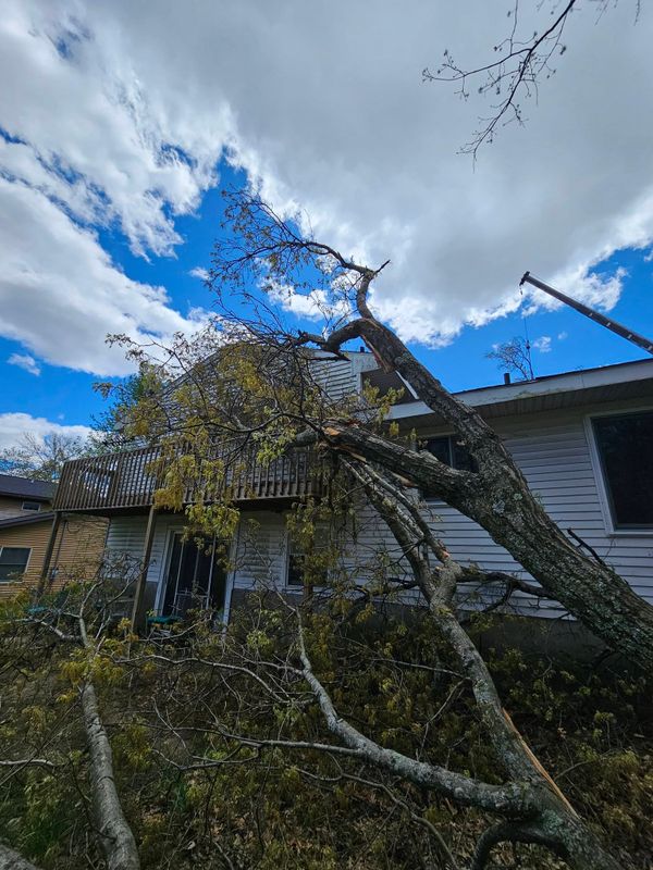 Storm Damage Mitigation