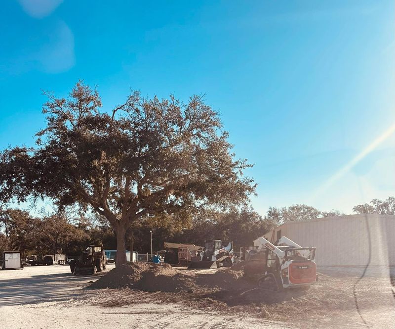 Site Preparation