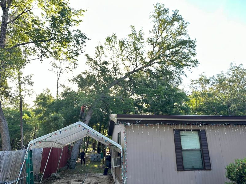 Debris Cleanup