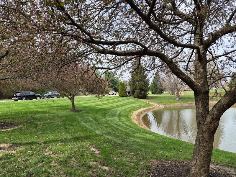 Lawn Maintenance