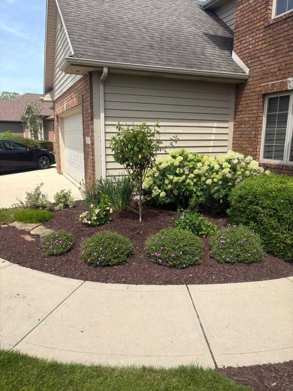 Landscape Design & Installation
