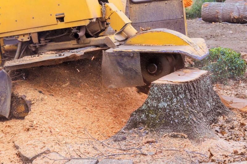 Stump Removal