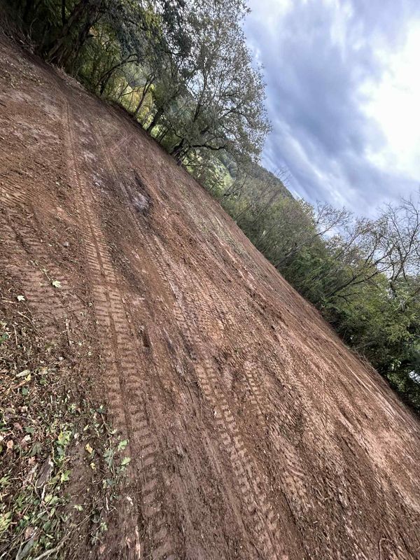 Land Clearing