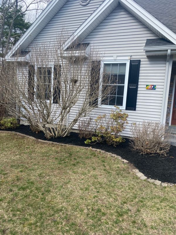 Lawn Maintenance